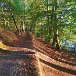 Neuland 4 - Entspannung In Seenaehe Lychen